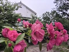 -广富林宰相府酒店·水云间