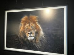 -罗红摄影艺术馆