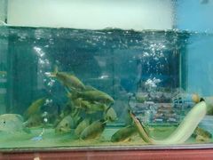 -农乐园食府(梅城镇店)