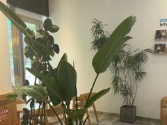 -Blueglass酸奶(财富购物中心店)