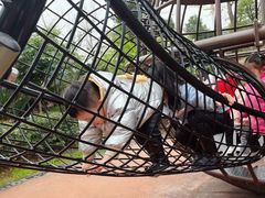 -枫香湖儿童公园