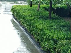 -木塔寺遗址生态公园