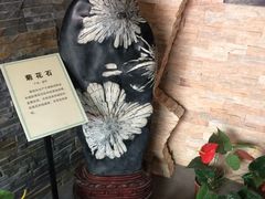 -磐安舞龙峡景区