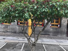 -西宁市东关清真大寺