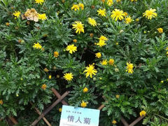 android_upload_pic-紫竹院公园冰场