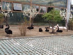 -齐齐哈尔龙沙动植物园