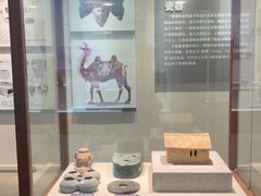 -海口市博物馆