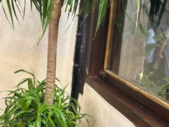 -乌记大厨餐厅