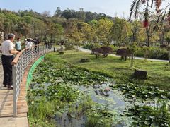 -东莞植物园