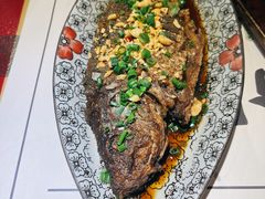 -酒阳蒸经小酒馆(解放碑店)