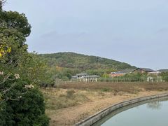 -上海佘山国家森林公园天马山园