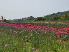 -雪浪山卡丁车俱乐部