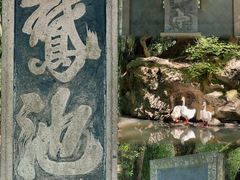 -兰亭风景区