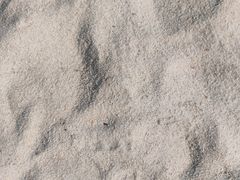 -呼兰河口湿地公园