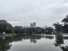 -荔湾湖公园