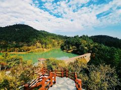 -广州白江湖森林公园