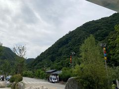 -牛背梁国家森林公园