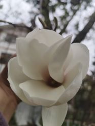 -莲生母婴月子中心(清水河公园店)