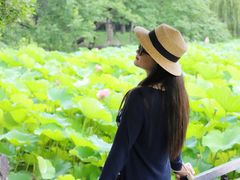 -高子水居