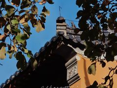 -灵谷景区