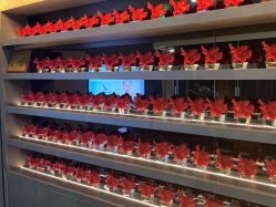 -宸山医美·变美艺术馆