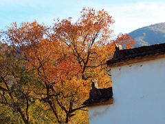 -塔川景区