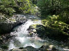 -关门山森林公园