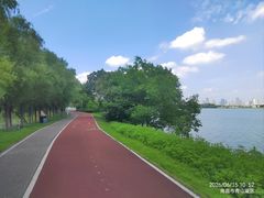 -艾溪湖湿地公园