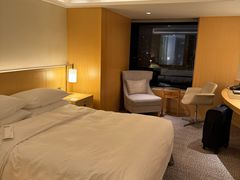 -广州白天鹅宾馆