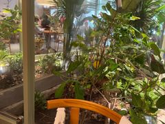 -The Good Place好地方·Brunch·coffee(国贸店)