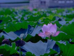 -重元寺