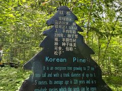 -五营国家森林公园