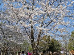 -贵阳市花溪国家城市湿地公园