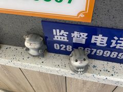 -半岛宠物医院24小时(白果林店)