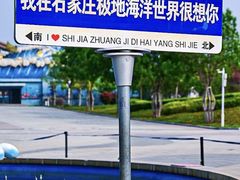 -石家庄极地海洋世界