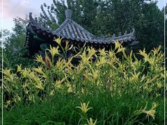 -丰台花园