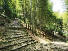 -仙霞关景区