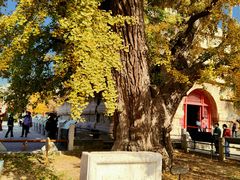 -北京石刻艺术博物馆(五塔寺)