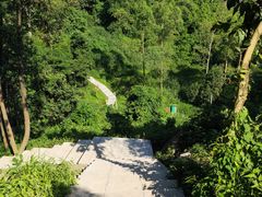 -火炉山森林公园