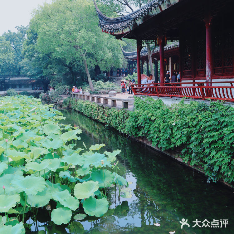 苏州旅游/园林经典拙政园🍃应该这样游～