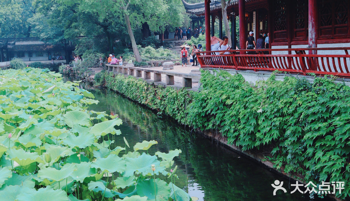 苏州旅游/园林经典拙政园🍃应该这样游～