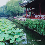 苏州旅游/园林经典拙政园🍃应该这样游～