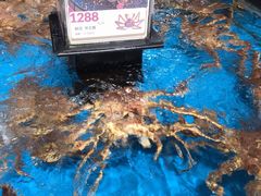 -盒马鲜生(曜一城店)