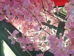 -捞三国美蛙鲜鱼火锅(茂业店)