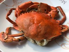 -Ministry of Crab(科伦坡店)