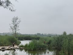 -绿堤公园