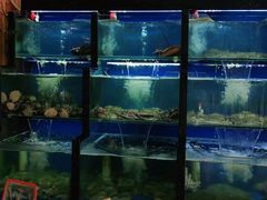 水产区-老东镇啤酒屋海鲜加工·蒸汽海鲜·海鲜烧烤(台东店)