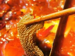 -鑫火锅(陇鑫大厦店)