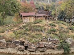 -合肥野生动物园
