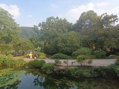 -中国茶叶博物馆(双峰馆区)